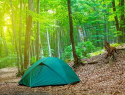 Pengertian dan Definisi Hutan Wisata serta Manfaatnya