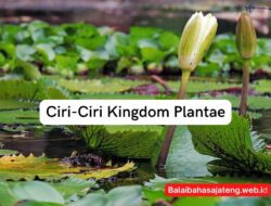Ciri-Ciri Kingdom Plantae