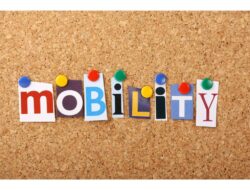 Mobilitas Sosial : Pengertian, Bentuk, Faktor dan Saluran
