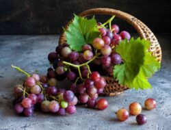10 Manfaat Buah Anggur yang Luar Biasa untuk Kesehatan