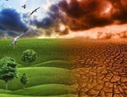 Pemanasan Global: Pengertian, Dampak dan Cara Mengatasi