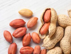 Manfaat Kacang Tanah untuk Kesehatan Tubuh