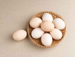 8 Manfaat Telur Ayam Kampung Bagi Kesehatan