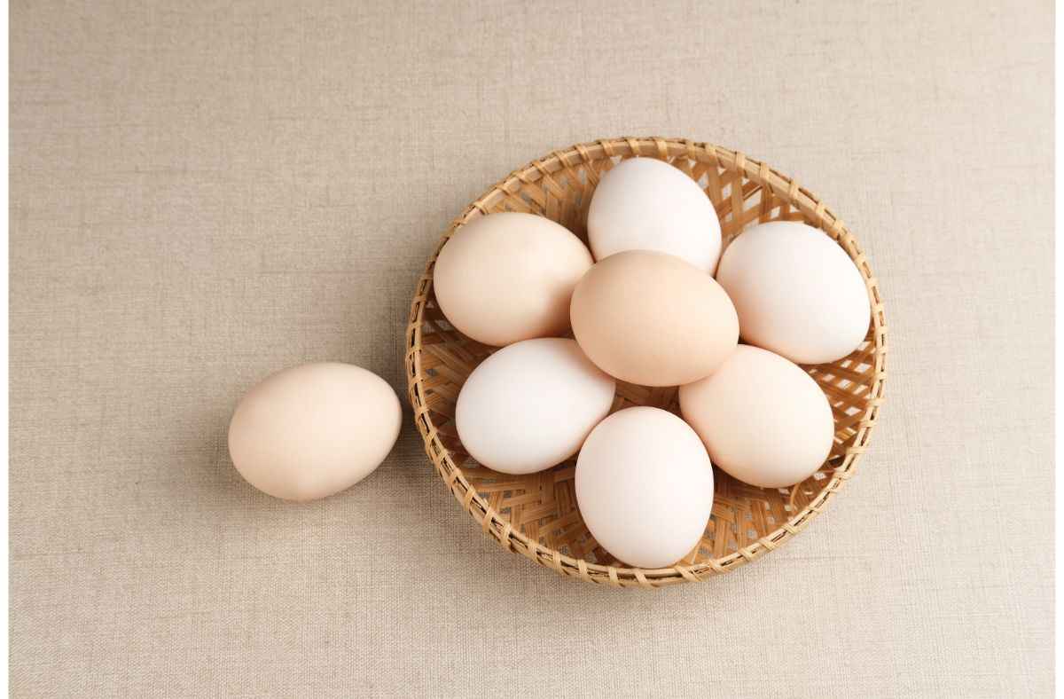 8 Manfaat Telur Ayam Kampung Bagi Kesehatan